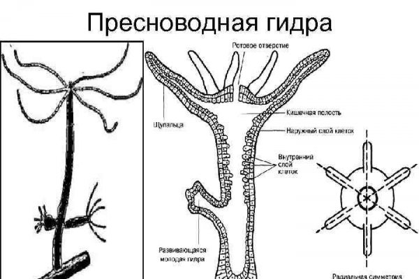 Кракен 9 at