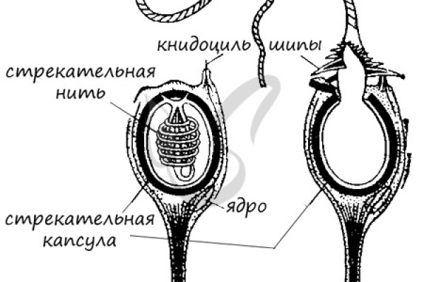 Кракен сайт это